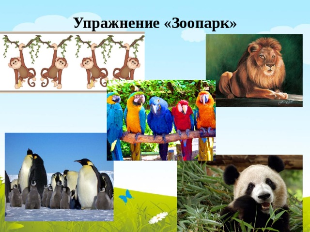 Упражнение «Зоопарк» 