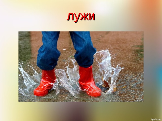 лужи 