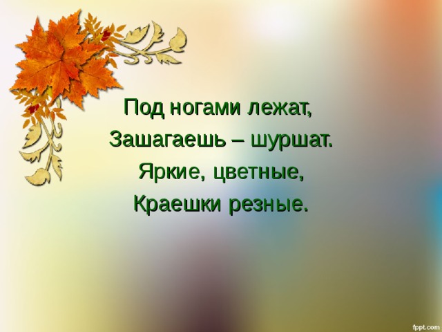 Под ногами лежат, Зашагаешь – шуршат. Яркие, цветные, Краешки резные. 