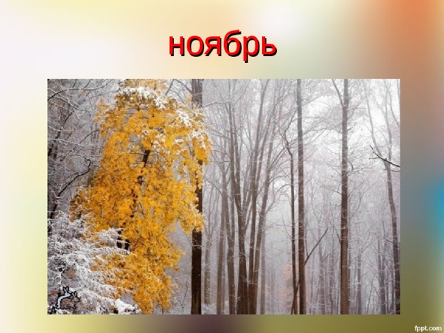 ноябрь 