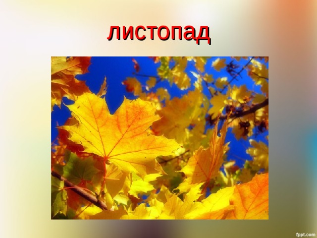 листопад 