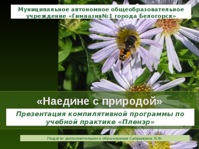Муниципальное автономное общеобразовательное учреждение «Гимназия№1 города Белогорск» «Наедине с природой» Презентация компилятивной программы по учебной практике «Пленэр» Педагог дополнительного образования Сапрыкина Л.Ф.  