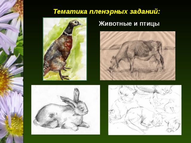 Тематика пленэрных заданий: Животные и птицы 