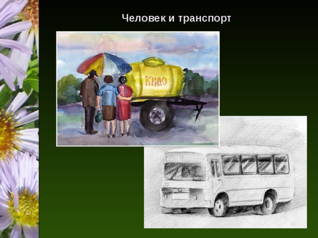 Человек и транспорт 