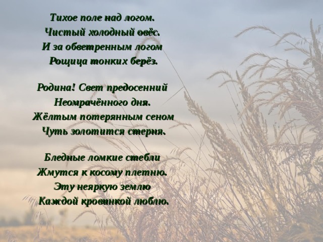 Тихое поле над логом. Чистый холодный овёс. И за обветренным логом Рощица тонких берёз.   Родина! Свет предосенний Неомрачённого дня. Жёлтым потерянным сеном Чуть золотится стерня.   Бледные ломкие стебли Жмутся к косому плетню. Эту неяркую землю Каждой кровинкой люблю. 