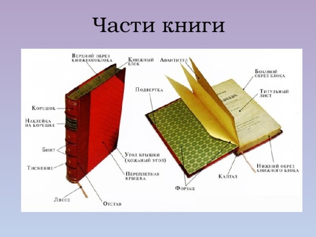 Части книги 