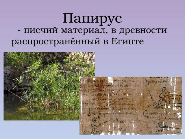 Папирус  - писчий материал, в древности распространённый в Египте 
