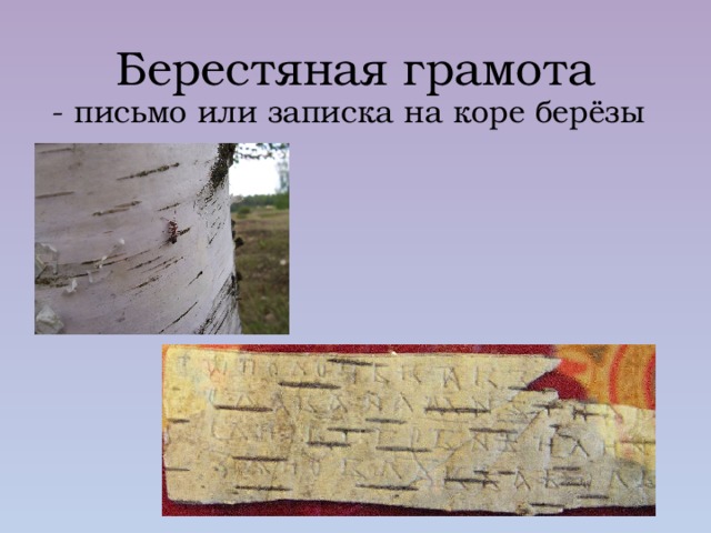 Берестяная грамота  - письмо или записка на коре берёзы 