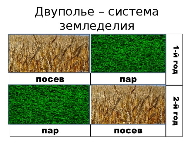 Двуполье – система земледелия 