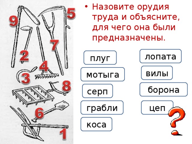 Назовите орудия труда и объясните, для чего она были предназначены.   лопата плуг вилы мотыга борона серп грабли цеп коса 5 
