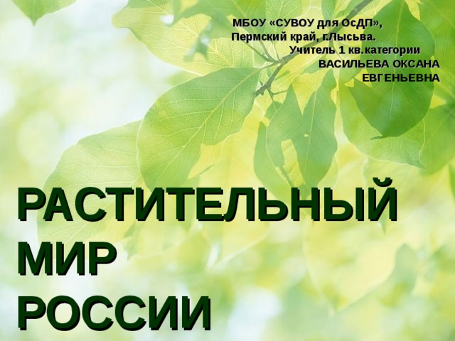 МБОУ «СУВОУ для ОсДП», Пермский край, г.Лысьва. Учитель 1 кв.категории ВАСИЛЬЕВА ОКСАНА ЕВГЕНЬЕВНА РАСТИТЕЛЬНЫЙ МИР РОССИИ 
