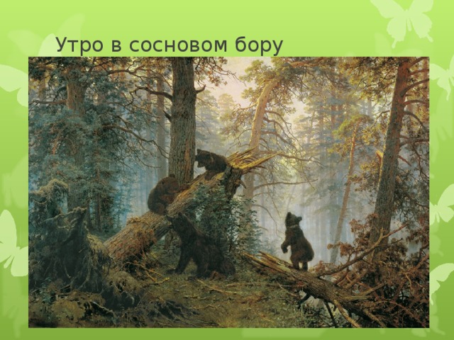 Утро в сосновом бору 