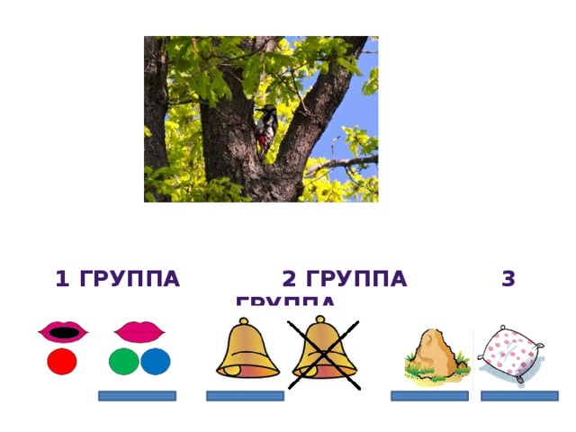 1 группа 2 группа 3 группа 