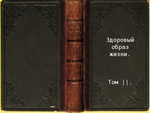 Здоровый  образ  жизни. Том ||. 