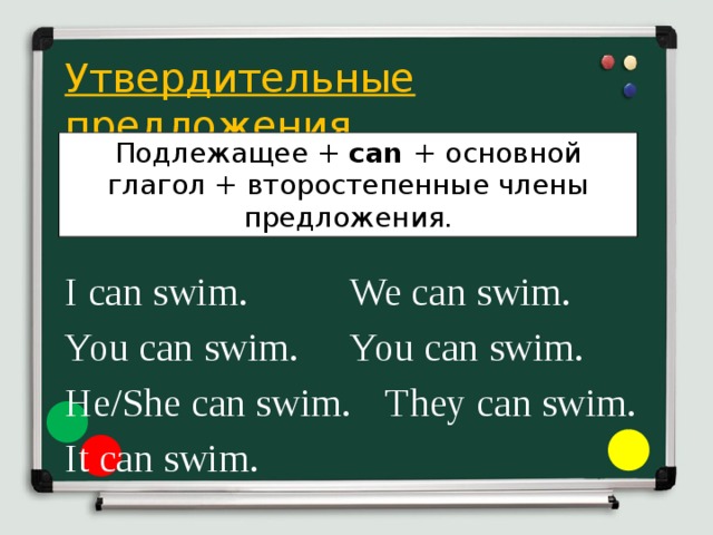  Утвердительные предложения  I can swim.    We can swim.  You can swim.   You can swim.  He/She can swim.  They can swim.  It can swim. Подлежащее + can + основной глагол + второстепенные члены предложения. 