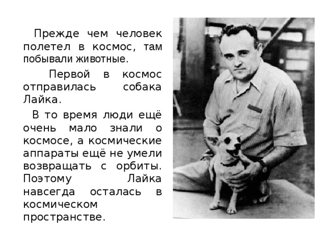  Прежде чем человек полетел в космос, там побывали животные.  Первой в космос отправилась собака Лайка.  В то время люди ещё очень мало знали о космосе, а космические аппараты ещё не умели возвращать с орбиты. Поэтому Лайка навсегда осталась в космическом пространстве. 