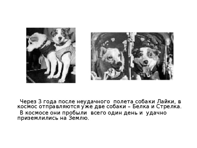  Через 3 года после неудачного полета собаки Лайки, в космос отправляются уже две собаки – Белка и Стрелка.  В космосе они пробыли всего один день и удачно приземлились на Землю. 