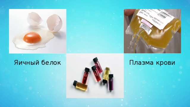Яичный белок Плазма крови 