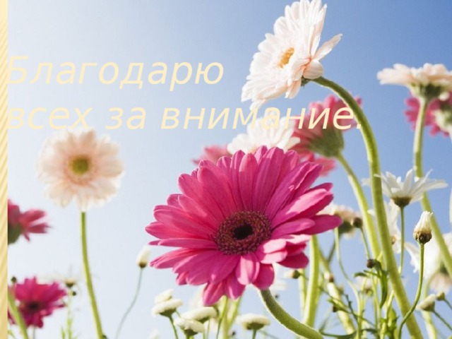 Благодарю  всех за внимание. 