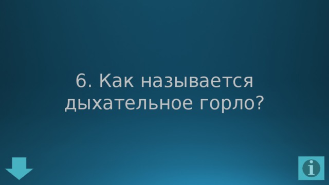 6. Как называется дыхательное горло? 