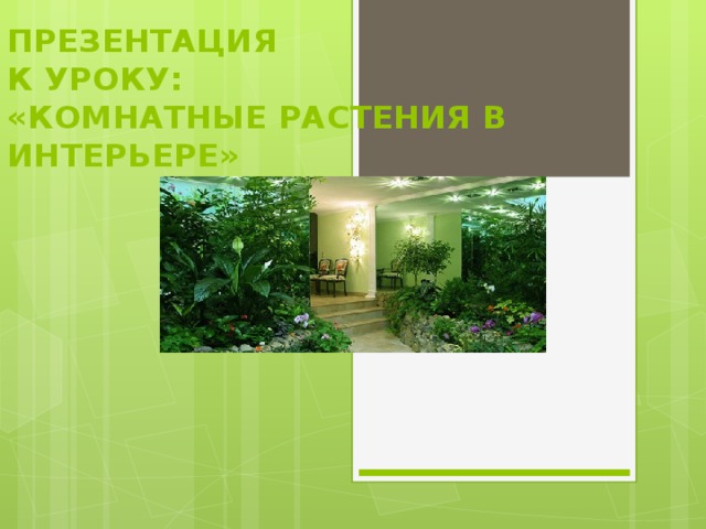 ПРЕЗЕНТАЦИЯ  К УРОКУ:  «КОМНАТНЫЕ РАСТЕНИЯ В ИНТЕРЬЕРЕ»   