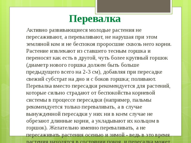 Перевалка Активно развивающиеся молодые растения не пересаживают, а переваливают, не нарушая при этом земляной ком и не беспокоя проросшие сквозь него корни. Растение извлекают из ставшего тесным горшка и переносят как есть в другой, чуть более крупный горшок (диаметр нового горшка должен быть больше предыдущего всего на 2-3 см), добавляя при пересадке свежий субстрат на дно и с боков горшка; поливают. Перевалка вместо пересадки рекомендуется для растений, которые сильно страдают от беспокойства корневой системы в процессе пересадки (например, пальмы рекомендуется только переваливать, а в случае вынужденной пересадки у них ни в коем случае не обрезают длинные корни, а укладывают их кольцом в горшок). Желательно именно переваливать, а не пересаживать растения осенью и зимой - ведь в это время растения находятся в состоянии покоя, и пересадка может им сильно навредить. 