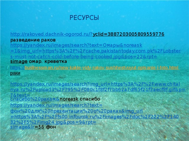 РЕСУРСЫ http://rakoved.dachnik-ogorod.ru/? yclid=3887203005809559776  разведение раков https://yandex.ru/images/search?text= Омары& noreask =1&img_url=https%3A%2F%2Fcache.pakistantoday.com.pk%2FLobsters-must-not-catch-cold-before-being-cooked.jpg&pos=22&rpt= simage  омар. креветка https:// businessman.ru/new-kakie-vidy-rakov-sushhestvuyut-opisanie-i-foto.html  раки https://yandex.ru/images/search?img_url=https%3A%2F%2Fwww.chitalnya.ru%2Fupload3%2F795%2F080c1f8f2f7bb62a7df65f21f3aecf8f.gif&p=7&text= спасибо%20ракам& noreask  спасибо https://yandex.ru/images/search?text= фон%20для%20презентации%20о%20раках& img_url =https%3A%2F%2Ffs00.infourok.ru%2Fimages%2Fdoc%2F222%2F14032%2F5%2Fimg24.jpg&pos=9&rpt= simage&lr =56  фон 
