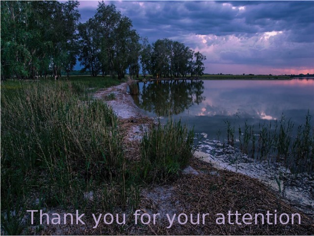 Thank you for your attention 