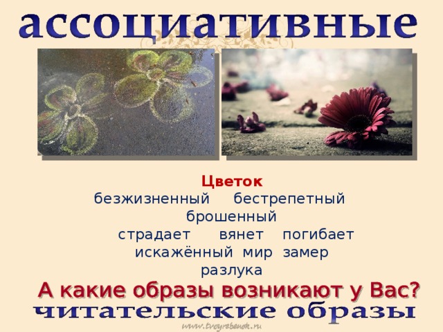 Цветок безжизненный бестрепетный брошенный  страдает вянет погибает искажённый мир замер разлука 