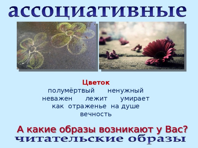 Цветок полумёртвый ненужный неважен лежит умирает как отраженье на душе вечность 
