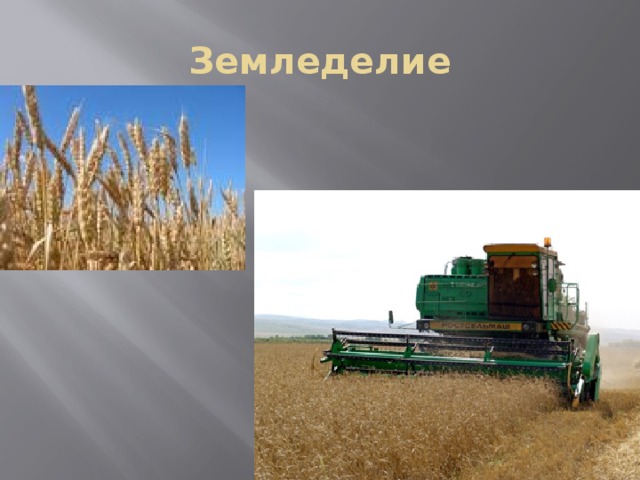 Земледелие 