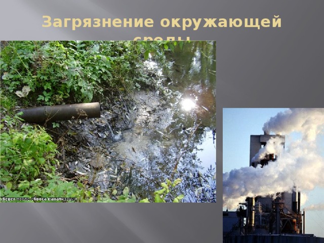 Загрязнение окружающей среды 