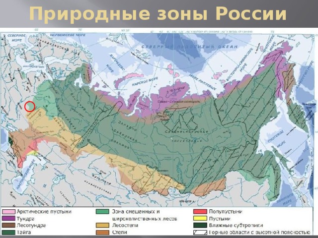 Природные зоны России 