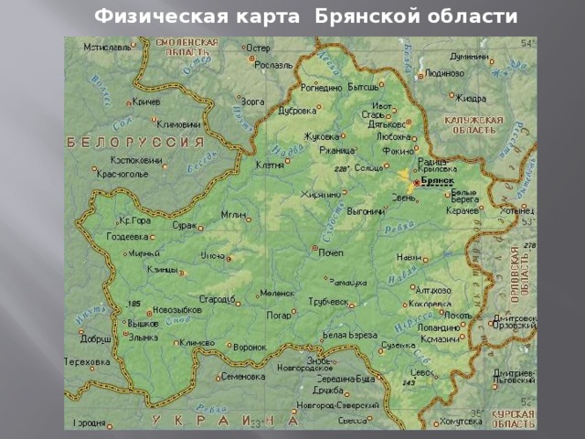 Физическая карта Брянской области 