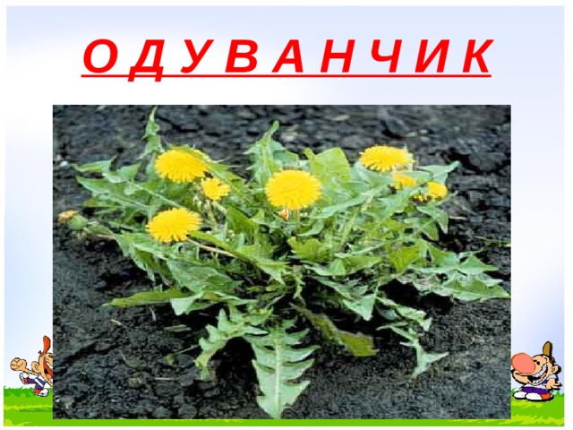 О Д У В А Н Ч И К 