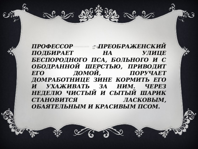 Профессор Преображенский подбирает на улице беспородного пса, больного и с ободранной шерстью, приводит его домой, поручает домработнице Зине кормить его и ухаживать за ним. Через неделю чистый и сытый Шарик становится ласковым, обаятельным и красивым псом. 