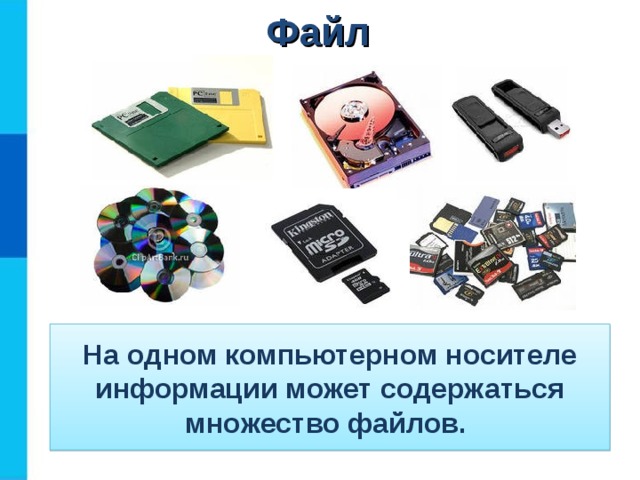 Файл На одном компьютерном носителе информации может содержаться множество файлов. 