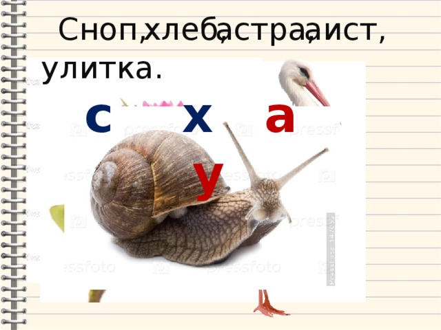 Сноп, хлеб, астра, аист, улитка. с х а у 