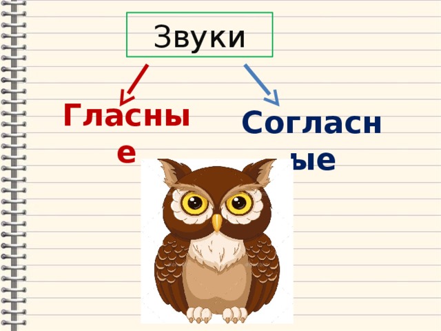 Звуки Гласные Согласные 