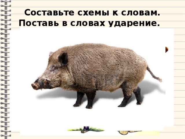 Составьте схемы к словам. Поставь в словах ударение. 