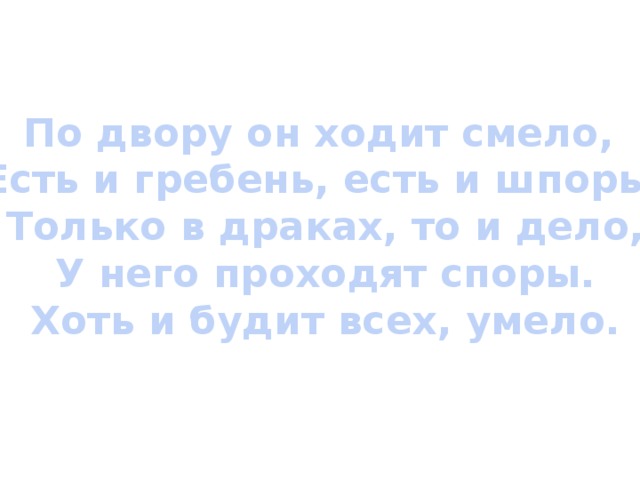 По двору он ходит смело,  Есть и гребень, есть и шпоры.  Только в драках, то и дело,  У него проходят споры.  Хоть и будит всех, умело. 
