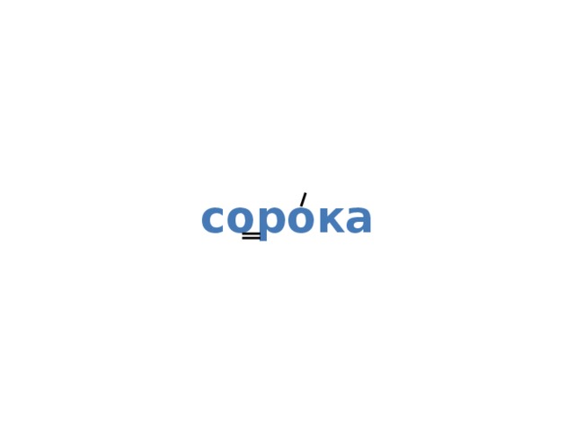 сорока 