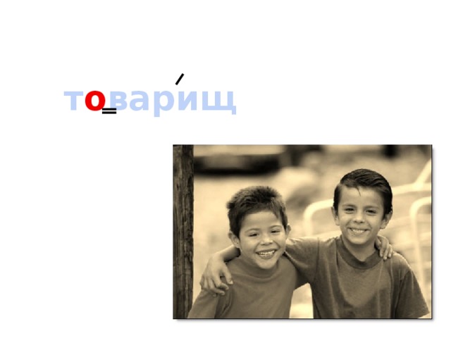 т о варищ 