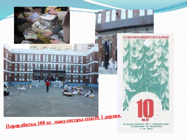 Переработка 100 кг макулатуры спасёт 1 дерево. 