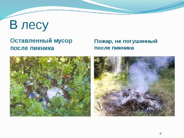 В лесу Оставленный мусор после пикника Пожар, не потушенный после пикника  