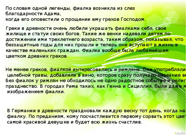 По словам одной легенды, фиалка возникла из слез благодарности Адама, когда его оповестили о прощении ему грехов Господом. Греки в древности очень любили украшать фиалками себя, свое жилище и статуи своих богов. Такие же венки надевали детям по достижении ими трехлетнего возраста, таким образом, показывая, что беззащитные годы для них прошли и теперь они вступают в жизнь в качестве маленьких граждан. Фиалка вообще была любимейшим цветком древних греков. Не менее греков, фиалкой интересовались и римляне. Они употребляли ее в качестве  целебной травы, добавляли в вино, которое сразу получало название весеннего напитка. Без фиалок у римлян не обходилось не одно радостное событие и религиозное празднество. В городах Рима таких, как Генна и Сициллия, были даже монеты с  изображением фиалки. В Германии в древности праздновали каждую весну тот день, когда находили первую фиалку. По преданиям, кому посчастливится первому сорвать этот цветок, женится на самой красивой девушке и будет всю жизнь счастлив. 