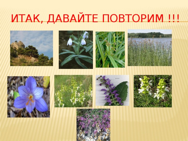 Итак, давайте повторим !!! 