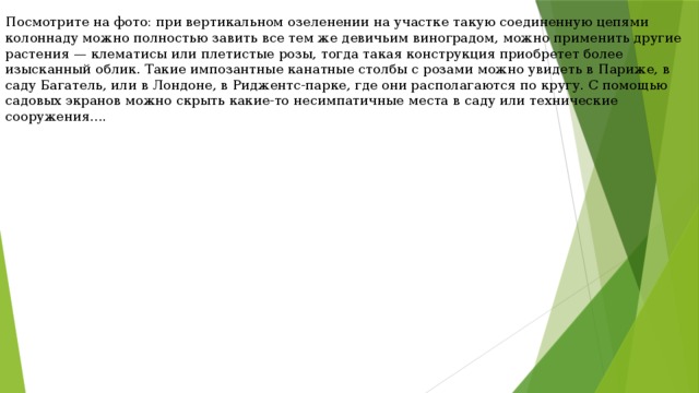 Посмотрите на фото: при вертикальном озеленении на участке такую соединенную цепями колоннаду можно полностью завить все тем же девичьим виноградом, можно применить другие растения — клематисы или плетистые розы, тогда такая конструкция приобретет более изысканный облик. Такие импозантные канатные столбы с розами можно увидеть в Париже, в саду Багатель, или в Лондоне, в Риджентс-парке, где они располагаются по кругу. С помощью садовых экранов можно скрыть какие-то несимпатичные места в саду или технические сооружения.... 