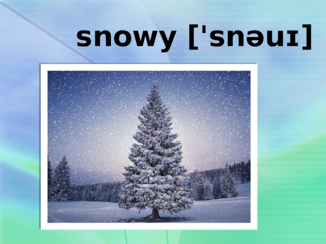  snowy ['snəuɪ] 