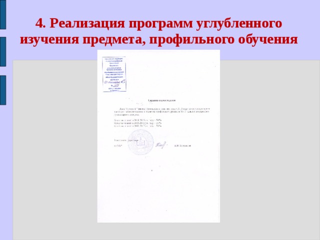 4. Реализация программ углубленного изучения предмета, профильного обучения 